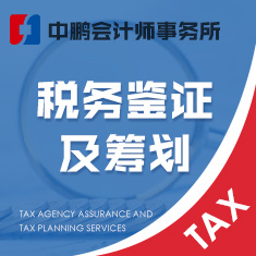 税务代理鉴证及税务筹划服务